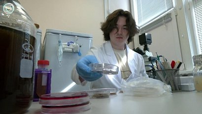 Новосибирские учёные создали бионапиток из бурых водорослей Белого моря