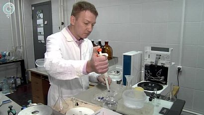Новосибирские учёные разработали уникальный пластик
