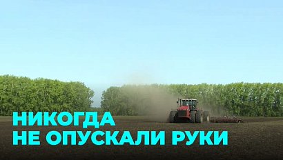 Новосибирские аграрии перевыполнили план посевной в непростых погодных условиях