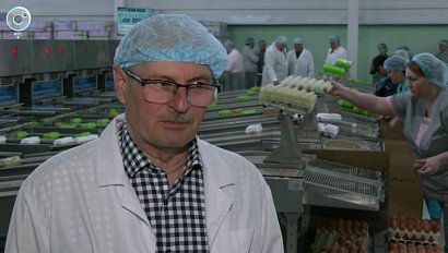 Новосибирская птицефабрика открыла современную сортировочную линию для яиц