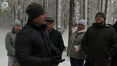 Будущее Инюшенского бора: сохранить или преобразовать?