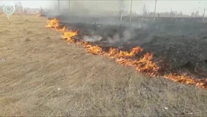 Особый противопожарный режим введут в Новосибирской области