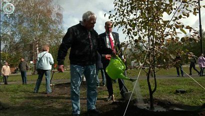 Депутаты высадили сотни деревьев в центре Новосибирска