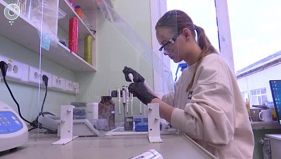 Сибирские биологи против туберкулёза и пневмонии. Какая разработка поможет обезвредить бактерии?