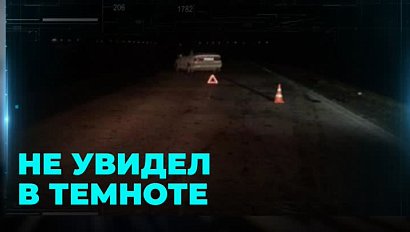 Автомобилист сбил двух пешеходов