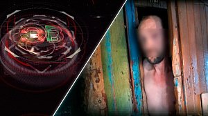Экстренный вызов | 24 августа 2026 | Происшествия Новосибирской области | Телеканал ОТС