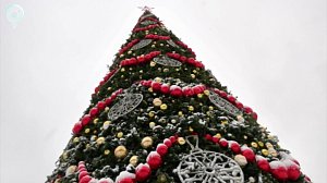 В Новосибирске установили главную новогоднюю ёлку