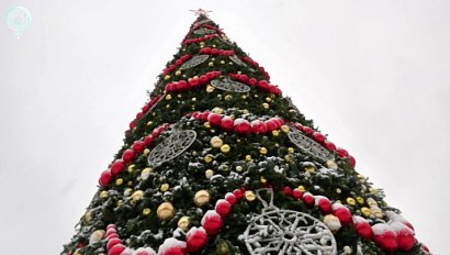 В Новосибирске установили главную новогоднюю ёлку