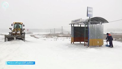 Школьные маршруты ежедневно очищают от снега в Новосибирской области
