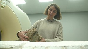 Учёные из Академгородка раскрывают тайны мамонтов