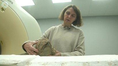 Учёные из Академгородка раскрывают тайны мамонтов