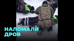 Квадрокоптеры и спецназ: как ловили «чёрных лесорубов» в Новосибирской области