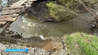 Размыло дамбу в Колыванском районе
