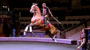 Новосибирский цирк установил три рекорда в честь Всемирного дня цирка