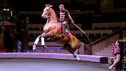 Новосибирский цирк установил три рекорда в честь Всемирного дня цирка