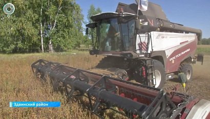 Молодые механизаторы вливаются в работу на полях Здвинского района
