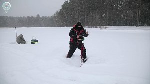 НОВОСТИ в 20:30 – 22 декабря 2025