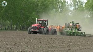 Посевная в Болотнинском районе идет полным ходом