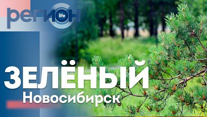Зелёный Новосибирск | ОТС LIVE — прямая трансляция