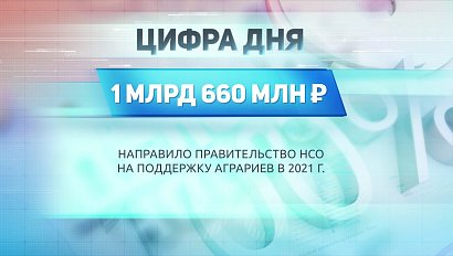 ДЕЛОВЫЕ НОВОСТИ | 22 июня 2021 | Новости Новосибирской области