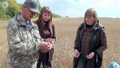 НОВОСТИ в 18:30 – 11 сентября 2025