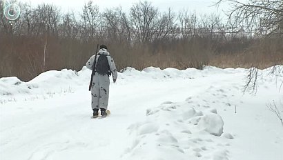 Электронное разрешение на охоту могут получить новосибирцы