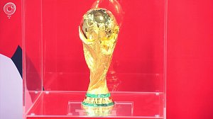 Кубок чемпионата мира по футболу FIFA в Новосибирске | СпортОбзор: 06 мая 2018