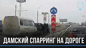 Автоледи подрались прямо на дороге в Новосибирске