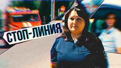 Камеры фотовидеофиксации: разбираем типичные ошибки водителей | СТОП-ЛИНИЯ – 26 августа 2026