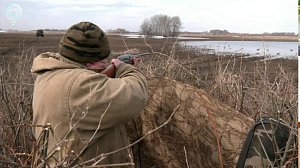 Весенняя охота в Новосибирской области под строгим контролем