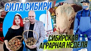 Агропром 2024: технологическое лидерство / Баня – это жизнь! | СТРИМ ОТС LIVE — 6 ноября