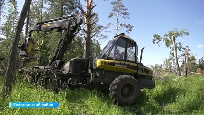 Восстановление лесов и борьба с вредителями: в Болотнинском районе расчищают бурелом с помощью современных машин