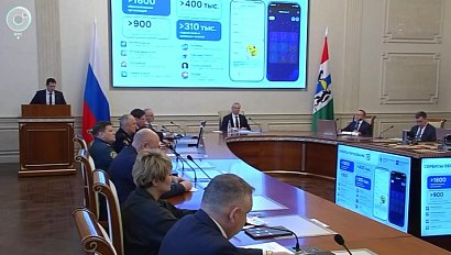 В мессенджере МАХ появятся новые сервисы для жителей Новосибирской области