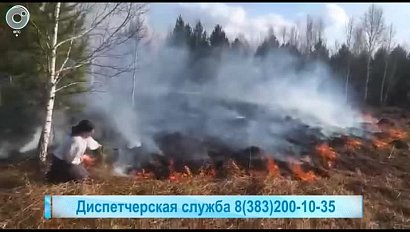 Жительница Академгородка потушила лесной пожар