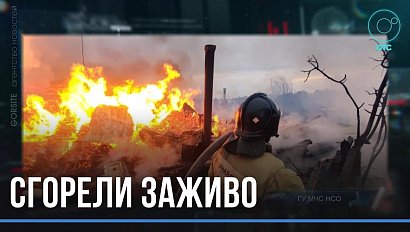 Погибли в огне: пенсионерка и ее сын стали жертвами страшного пожара в Ордынском районе