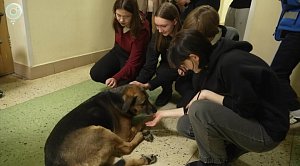 НОВОСТИ в 20:30 – 23 декабря 2025