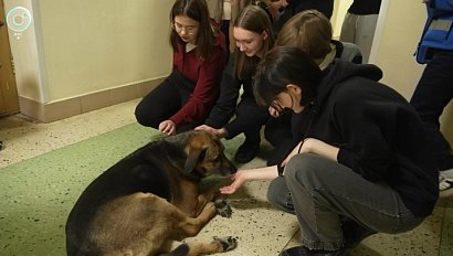 НОВОСТИ в 20:30 – 23 декабря 2025