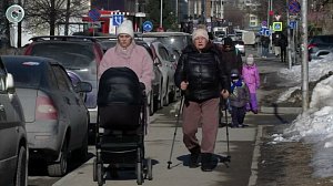 Сергей Миронов предложил ввести прогрессивную шкалу материнского капитала