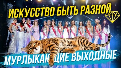 Фантазия и красота без границ | СТРИМ ОТС LIVE — 3 октября