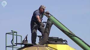 Оцифровка сельского хозяйства в Новосибирской области набирает обороты