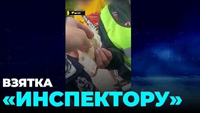12-летний «инспектор» принял взятку в Новосибирске