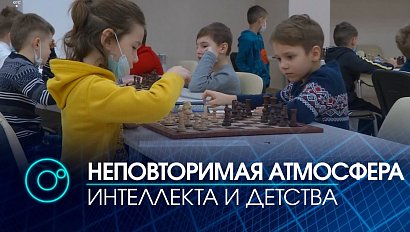 Шахматы: юные гроссмейстеры соревнуются за право представлять наш регион в составе сборной команды