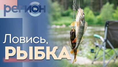Регион LIFE | Ловись, рыбка | ОТС LIVE — прямая трансляция