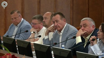 Итоги слушаний в Новосибирской области обсудили на профильного заседании комитета