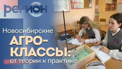 Регион LIFE | Новосибирские агроклассы : от теории к практике | ОТС LIVE — прямая трансляция