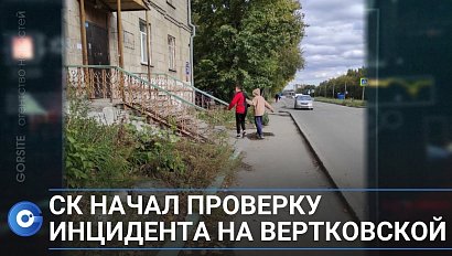 Подростками, избившими женщину на Вертковской, заинтересовались в СК