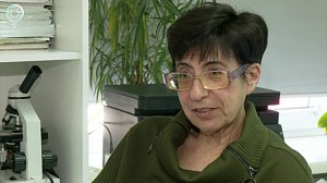 Новосибирскому преподавателю химии присвоили звание "Народный учитель России"