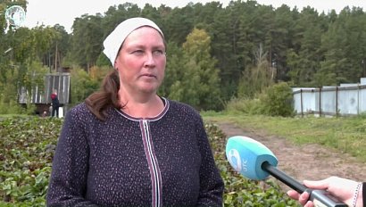 Постояльцы Завьяловского интерната завершили сбор урожая