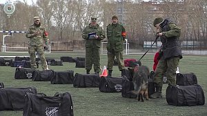 НОВОСТИ в 18:30 – 23 апреля 2025