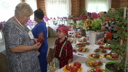 В Новосибирске в разгаре дачный сезон и выставка редких растений